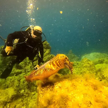 Rosa Eden Lägenhet *