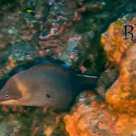 Διαμέρισμα Rosa Eden La Asomada (Lanzarote)