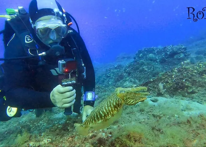 Apartment Rosa Eden *