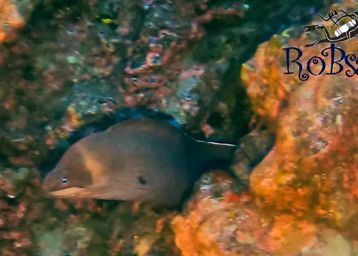 Apartmán Rosa Eden La Asomada (Lanzarote)