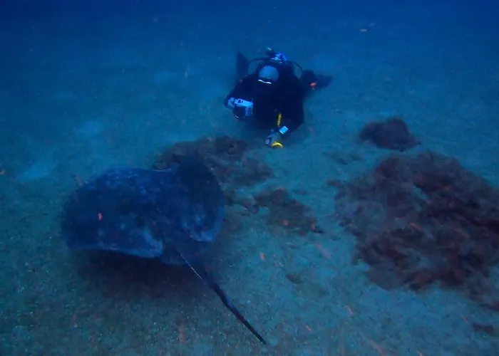Rosa Eden La Asomada (Lanzarote)