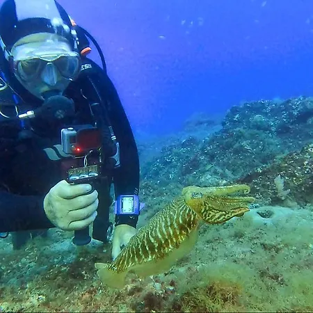 Appartement Rosa Eden *