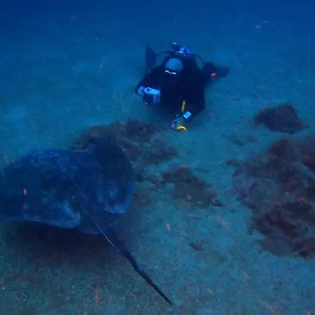 Rosa Eden La Asomada (Lanzarote)