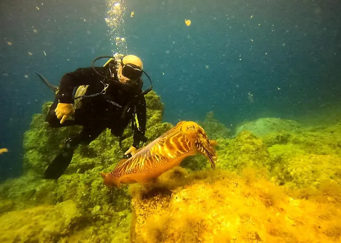 Rosa Eden アパート *