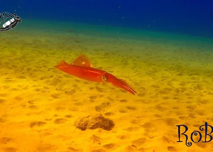 アパート Rosa Eden La Asomada